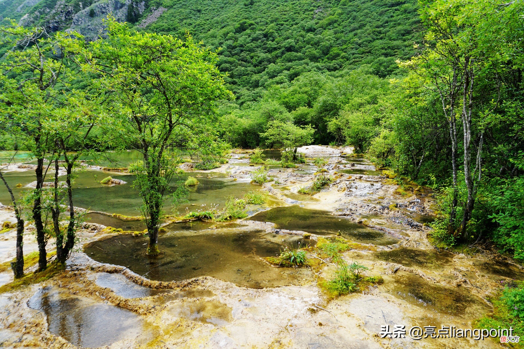 这里是黄龙的C位景点 景点黄龙在哪
