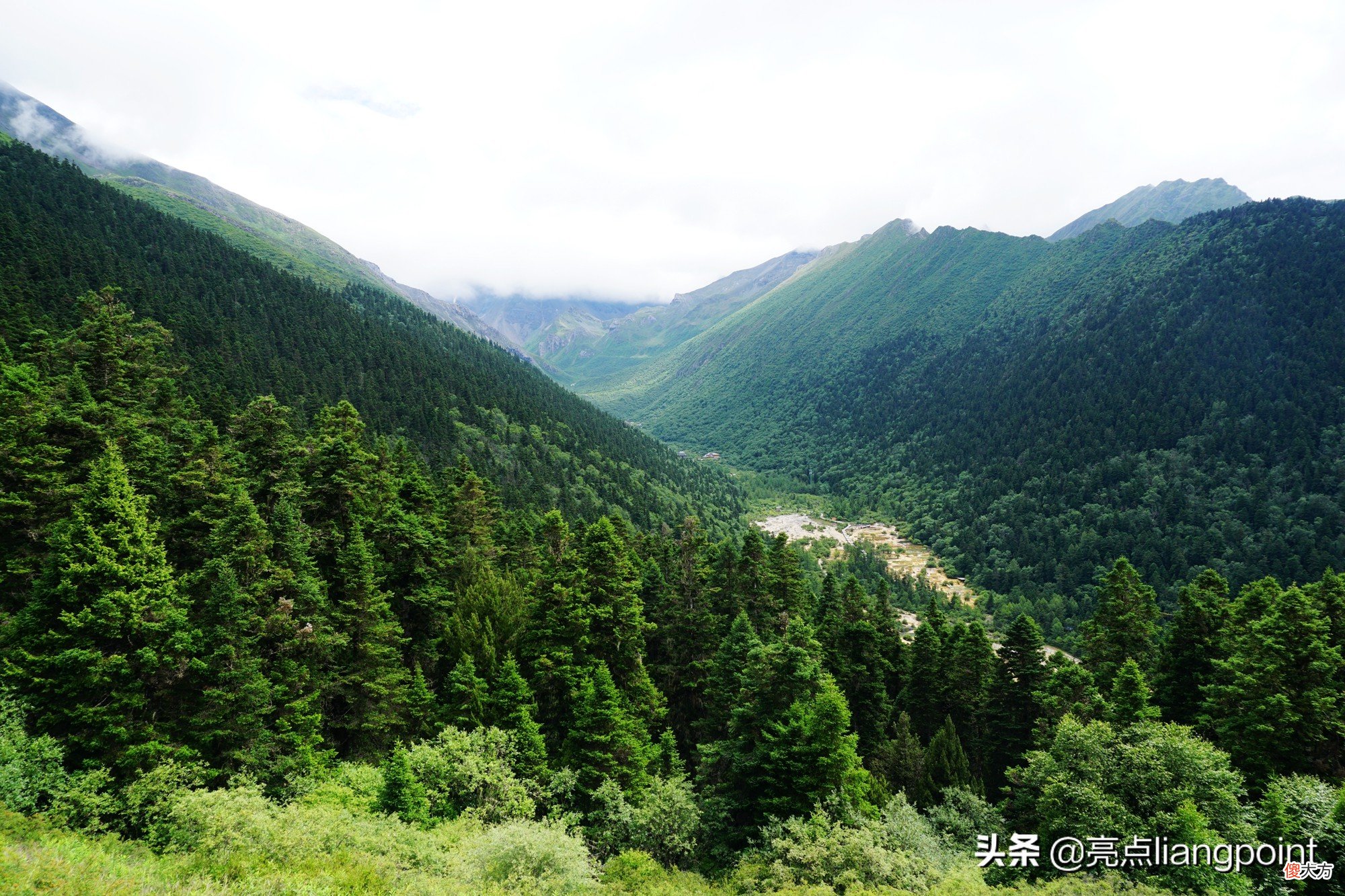 这里是黄龙的C位景点 景点黄龙在哪