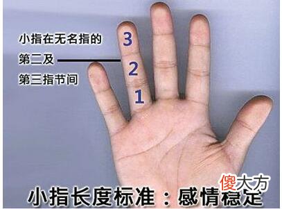 从小指长短看你的性格与婚姻