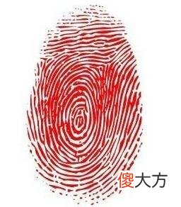 手把手教你手指螺纹怎么看
