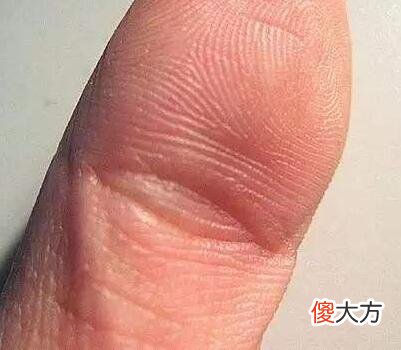 揭秘手指三个螺纹是什么意思？
