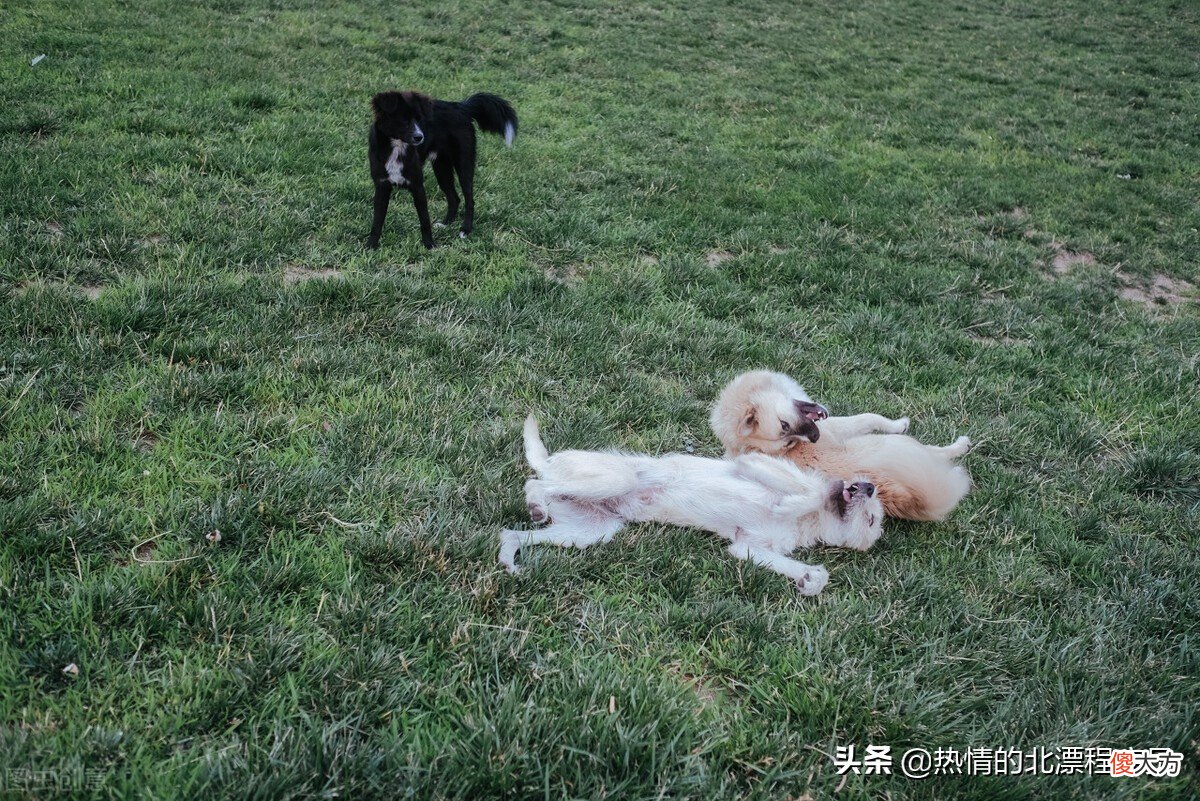 被喜欢的女神关爱是什么样的体验 被喜欢的女生关心是什么感觉
