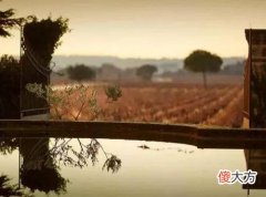 瑞丽市霞多丽白葡萄酒怎么样 霞多丽白葡萄酒 澳大利亚
