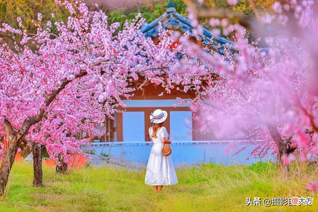 用手机给女友拍照 手机给女友拍照的技巧