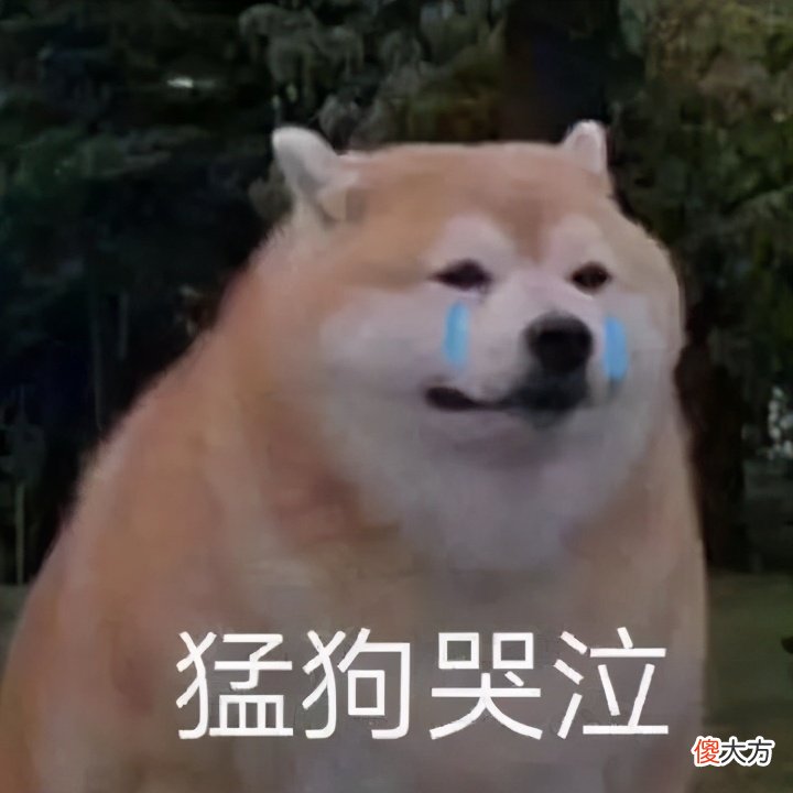 毫不起眼的剪贴板 剪贴板里有什么