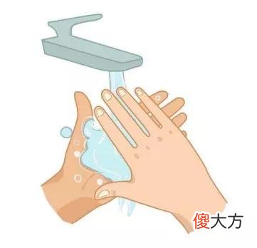 学会正确的洗手 学会正确的洗手适合哪个班