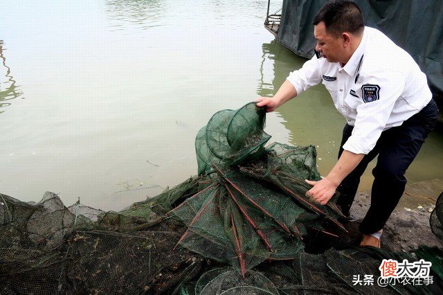 用绝户网捕鱼是什么原理 用网捕鱼的原理