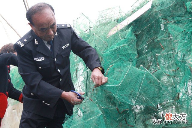 用绝户网捕鱼是什么原理 用网捕鱼的原理