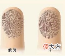 手指螺纹看相图文解析