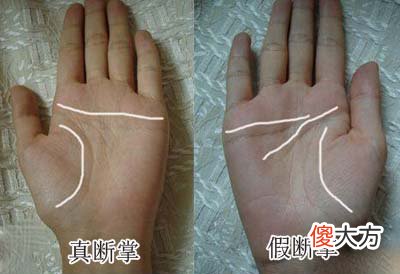 潘教授-揭开断掌的秘密，看你究竟是不是断掌！