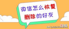 微信怎么恢复删除的好友 微信怎么恢复删除的好友请求