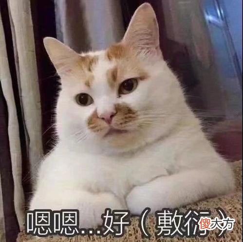 重新加回好友后很尴尬 微信好友重新加回来