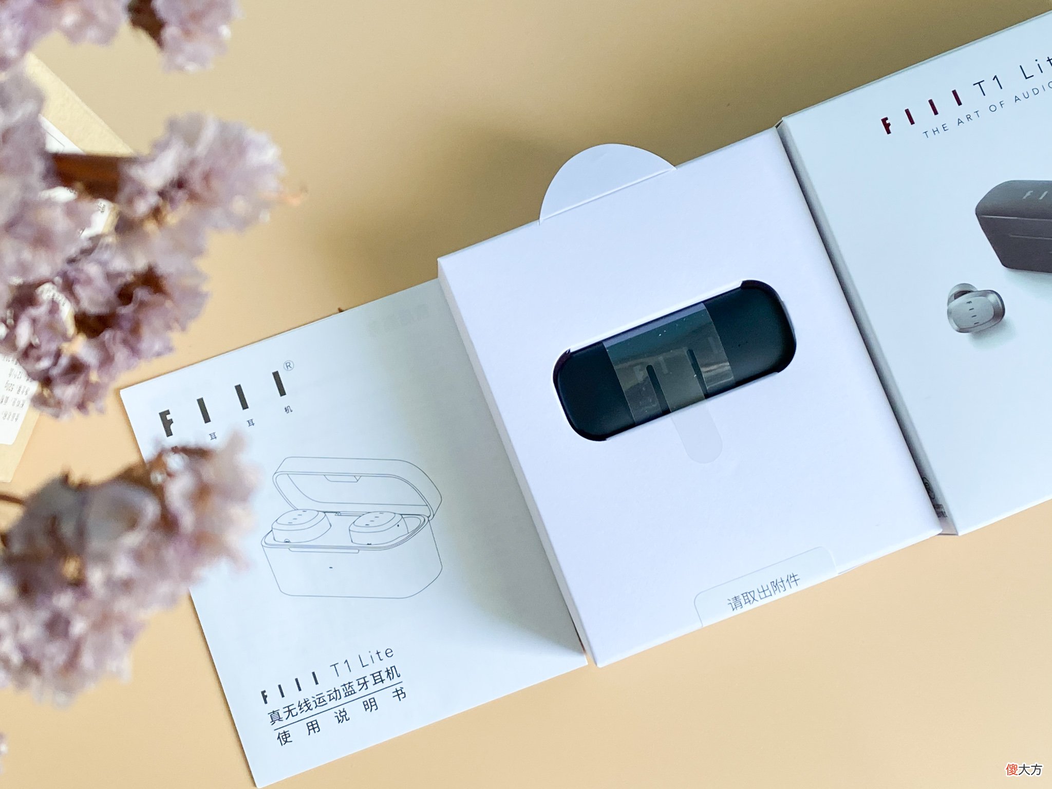百元耳机效果真的很差吗？FIIL T1 Lite真无线蓝牙耳机使用感受