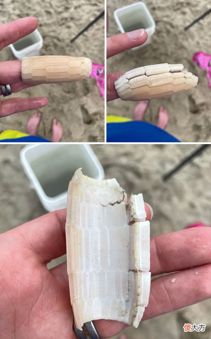 生活中遇到的神秘物体到底是啥 有什么神秘的东西
