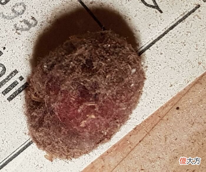生活中遇到的神秘物体到底是啥 有什么神秘的东西