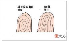 什么是手指螺纹，手指螺纹图解