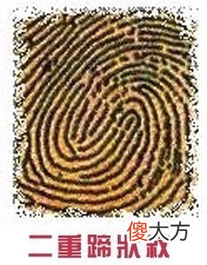 手指纹看你的情感婚姻好不好