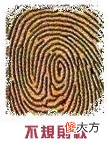 手指纹看你的情感婚姻好不好