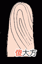手指纹看你的情感婚姻好不好