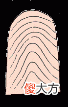 手指纹看你的情感婚姻好不好