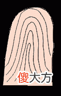 手指纹看你的情感婚姻好不好