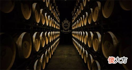 红酒鲈鱼做法 酒酿鲈鱼的做法大全