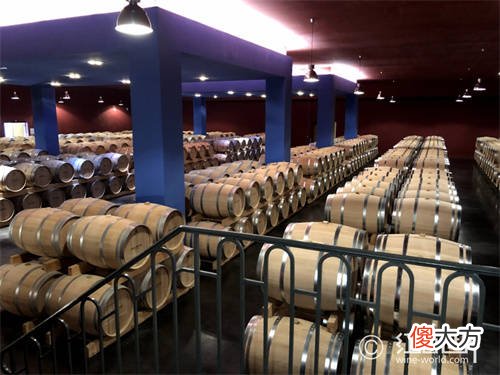 百年老藤葡萄酒怎么样 老藤干红葡萄酒