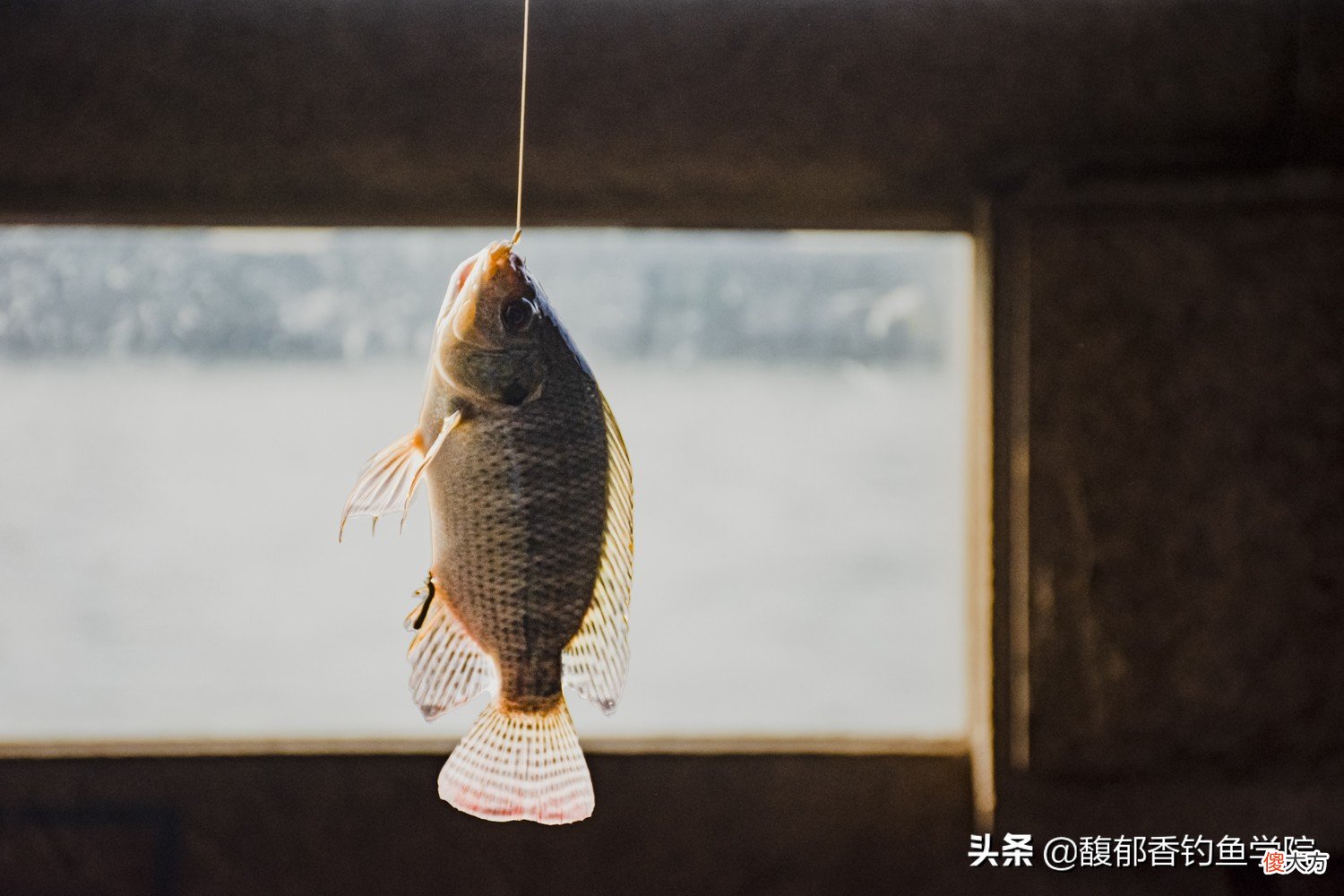 什么鱼钩最好用 什么鱼钩比较好用