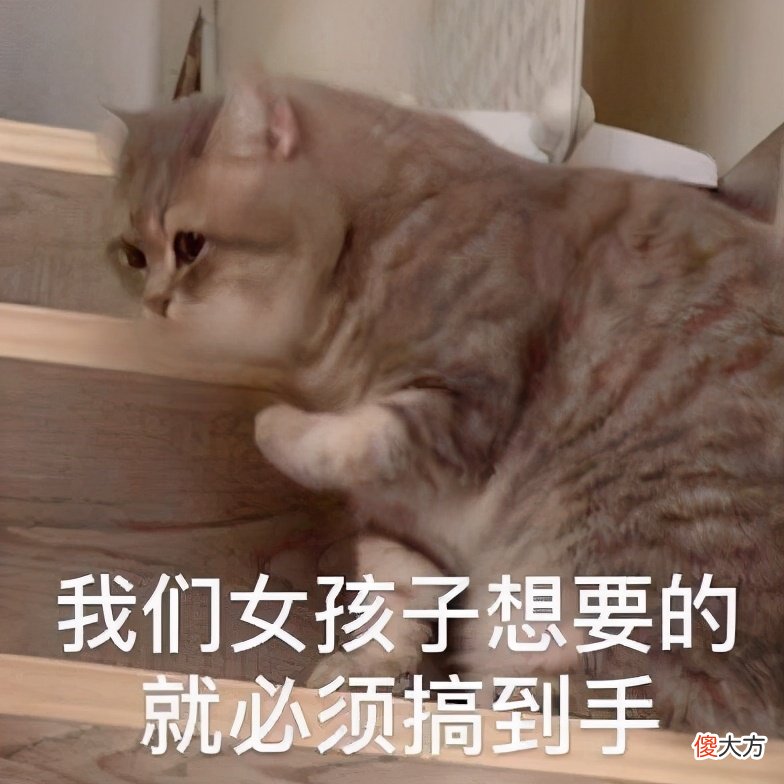 0编程代码就能开发手机app 手机代码编程软件