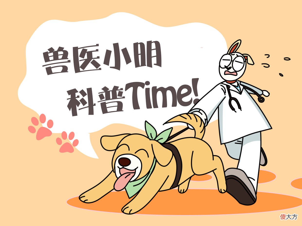 小女孩买了1只鸭子回家 买了一只小鸭子