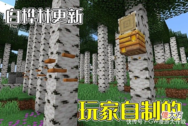 【游戏迷】我的世界：白桦林还会更新吗？老MC：Mojang放鸽子不是一天半天