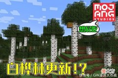 【游戏迷】我的世界：白桦林还会更新吗？老MC：Mojang放鸽子不是一天半天