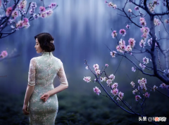 春天拍摄花朵 春天的花朵