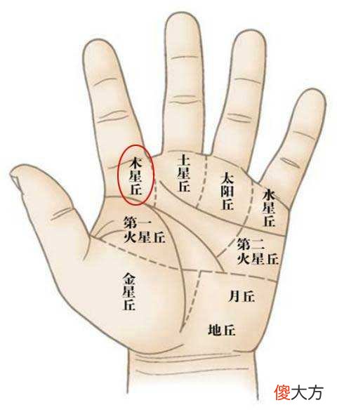 手相上什么是木星丘