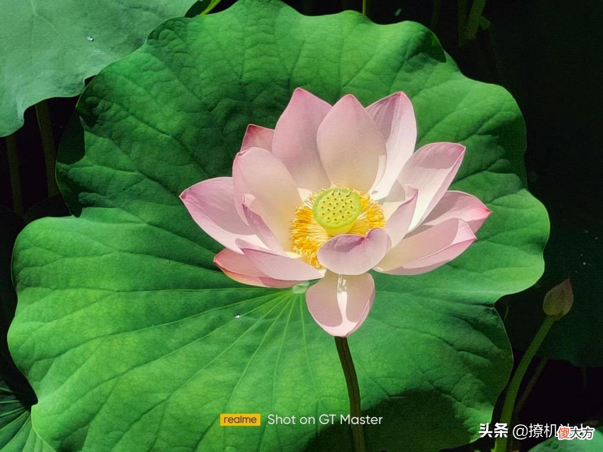 3000档拍照和质感最好的骁龙870手机 骁龙865拍照最好的手机