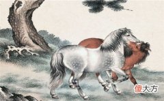 属马的五行属什么