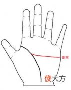 发财手相掌纹图解