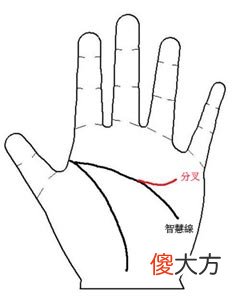 发财手相掌纹图解