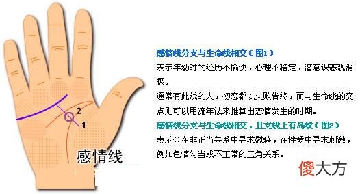 最详细的女人手相图解