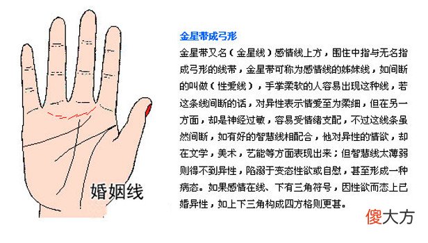 最详细的女人手相图解