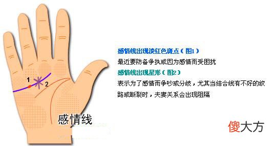最详细的女人手相图解