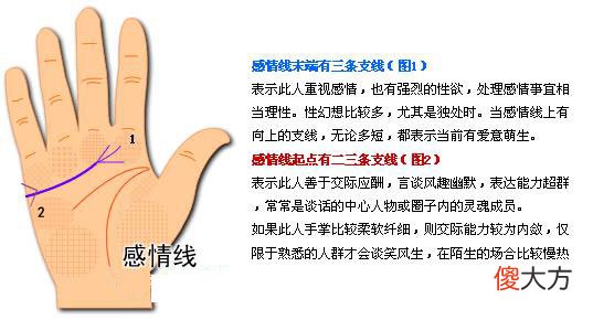 最详细的女人手相图解
