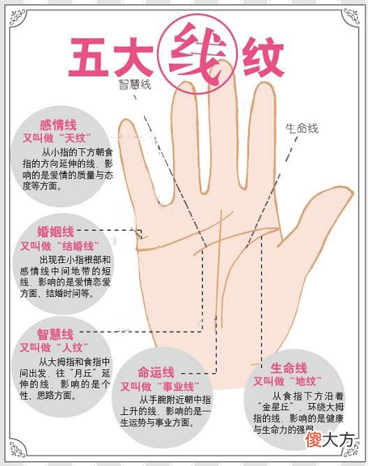 最详细的女人手相图解