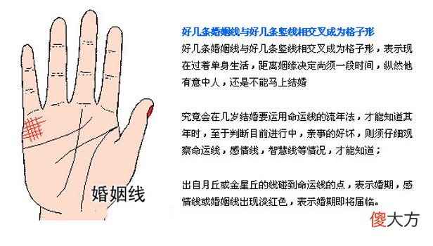 最详细的女人手相图解