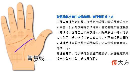 最详细的女人手相图解