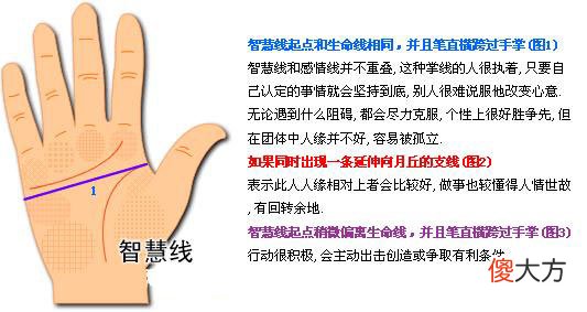 最详细的女人手相图解