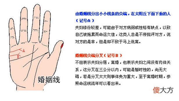 最详细的女人手相图解