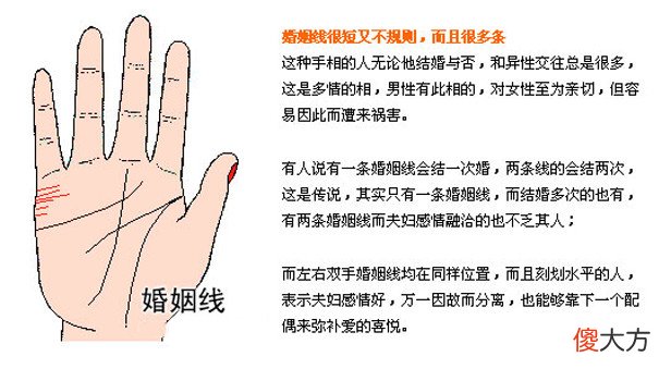 最详细的女人手相图解
