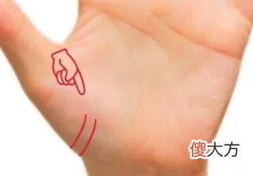 十种成功者的罕见手相