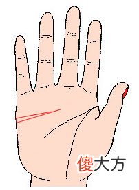 两条感情线